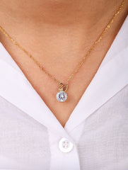 Swan Elegance Necklace