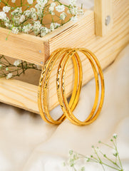Siya Bangles (Set of 4)