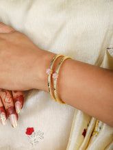 Vaidehi Bangles (Set of 2)