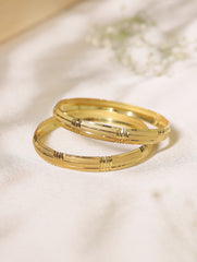 Alia Bangles (Set of 2)