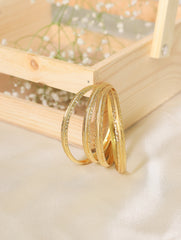 Shruti Bangles (Set of 4)