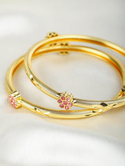 Vaidehi Bangles (Set of 2)