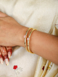 Vaidehi Bangles (Set of 2)