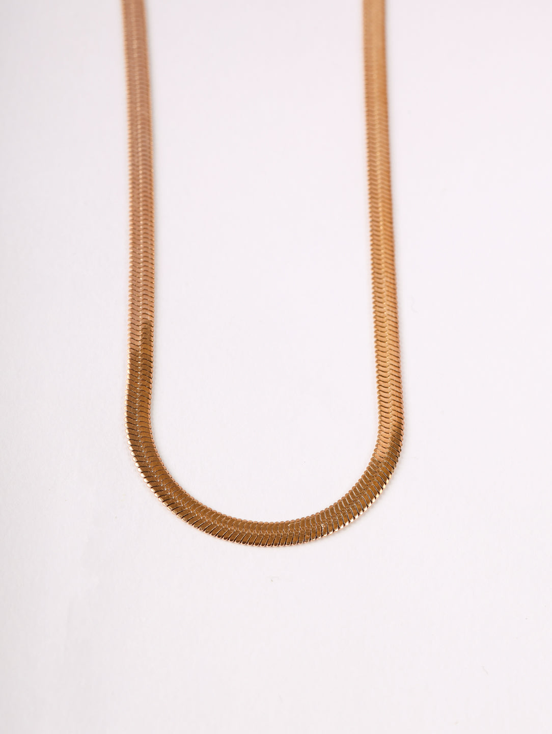 Rose Gold Choker Necklace