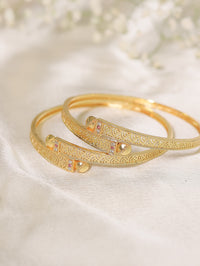 Prisha Bangles (Set of 2)
