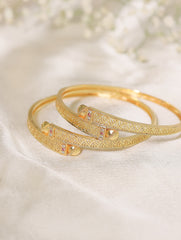 Prisha Bangles (Set of 2)