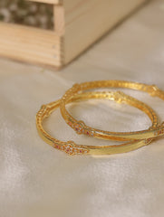 Ishani Bangles (Set of 2)