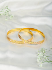 Suhani Bangles (Set of 2)